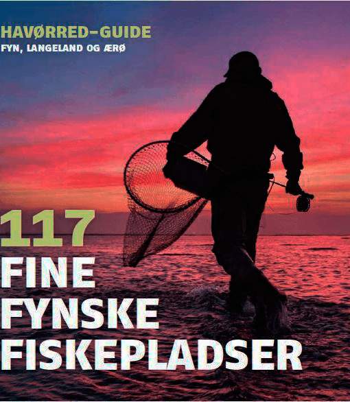 Kystens Pladstyper
