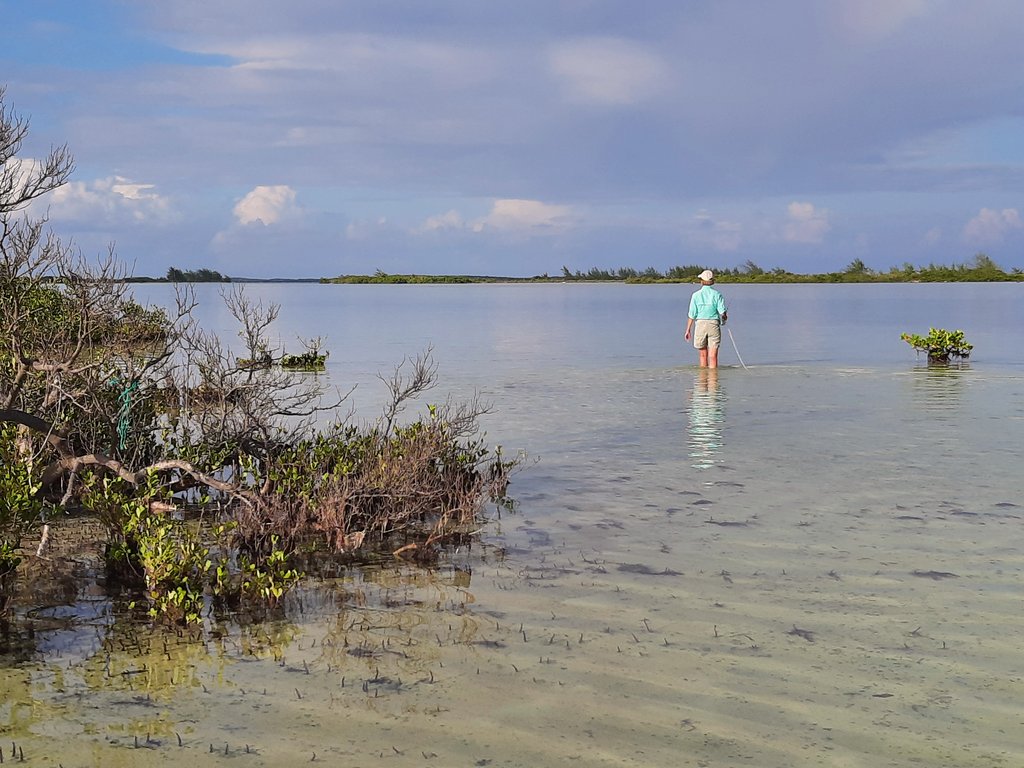 Endelig Tilbage på Bahamas