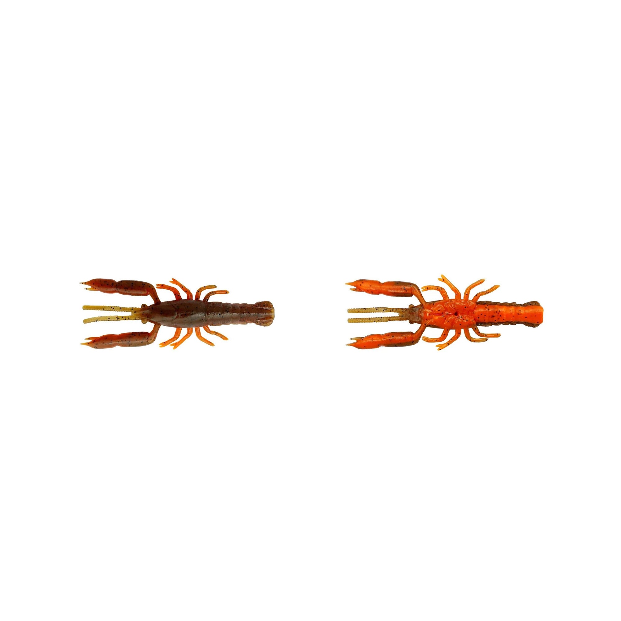 3D Crayfish Rattling