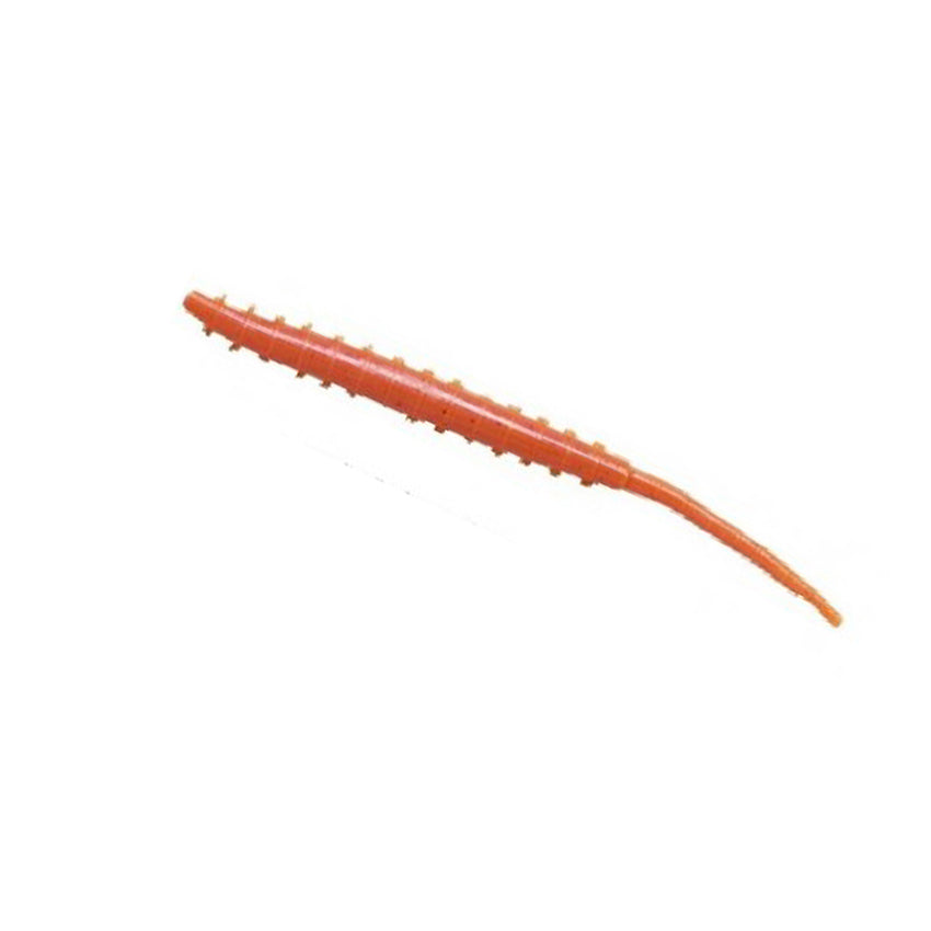 Alive!® Arenicola - Sandorme