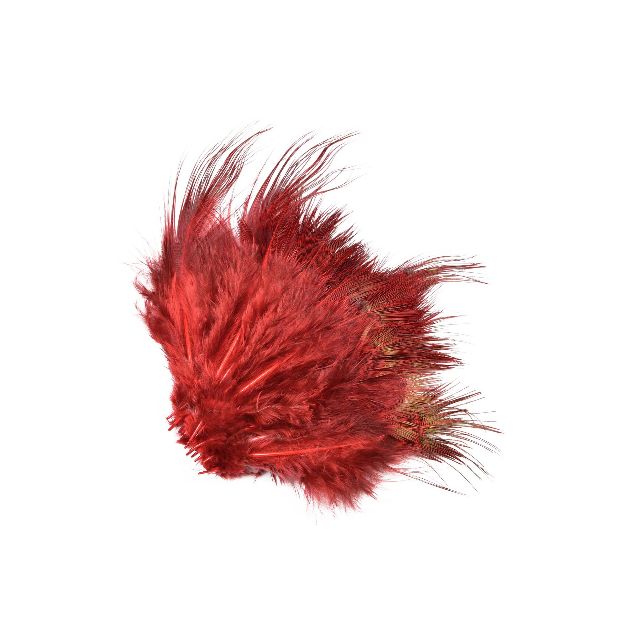Pheasant Rump Feathers - SNS