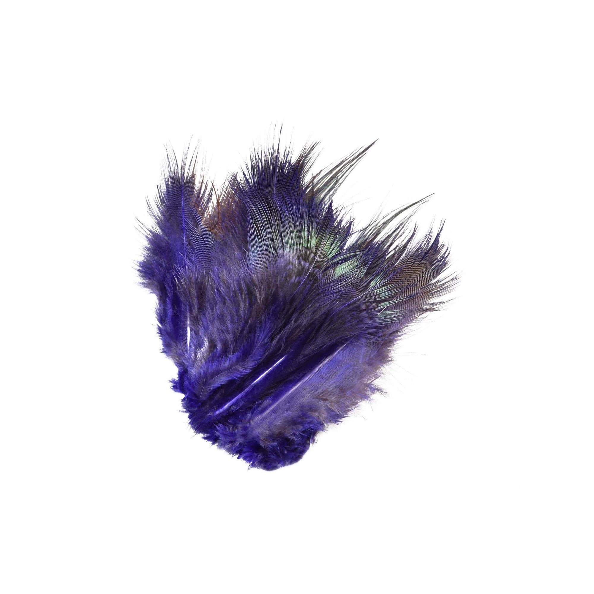 Pheasant Rump Feathers - SNS