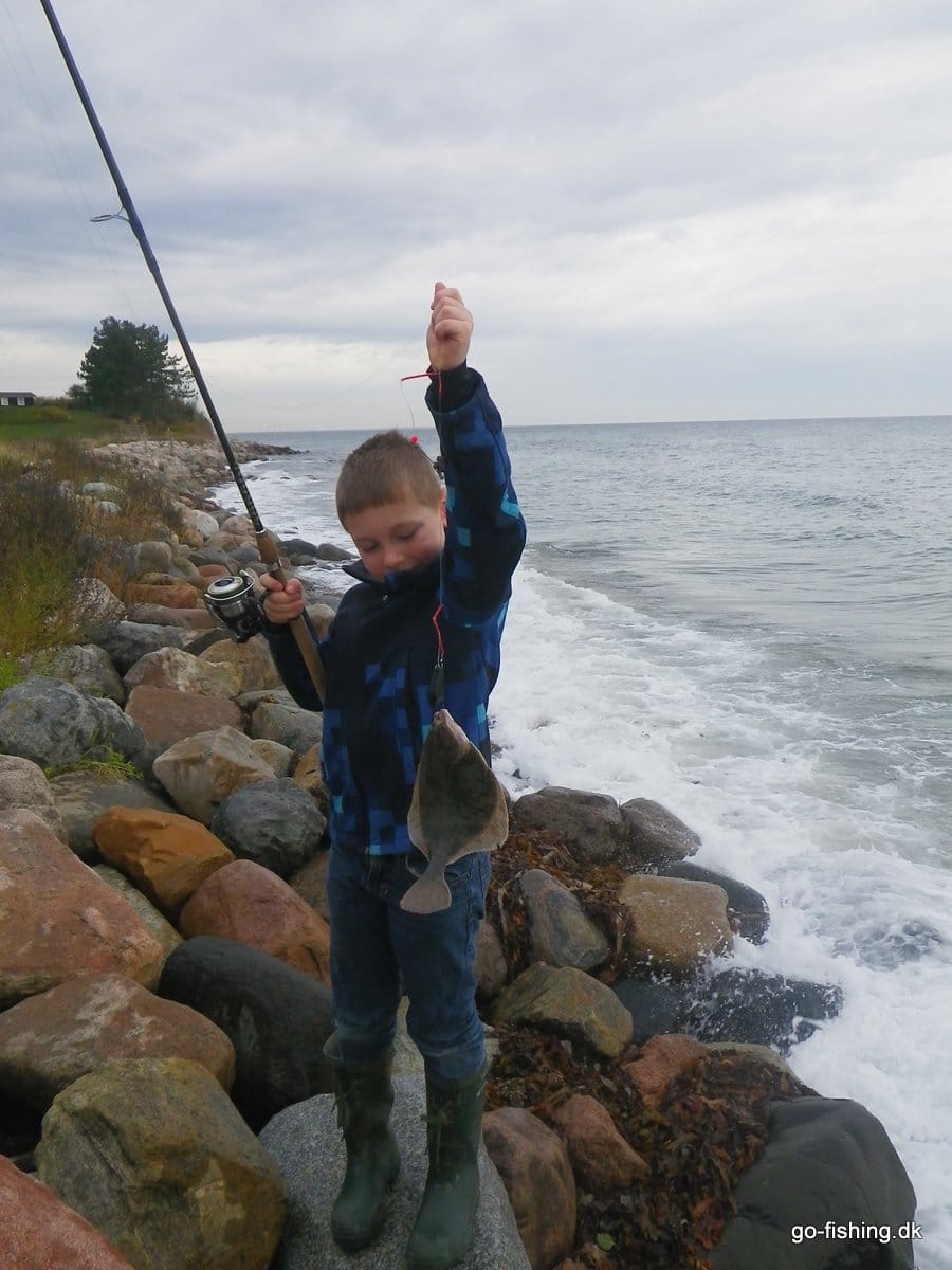 Luksusforfang Til Fladfisk
