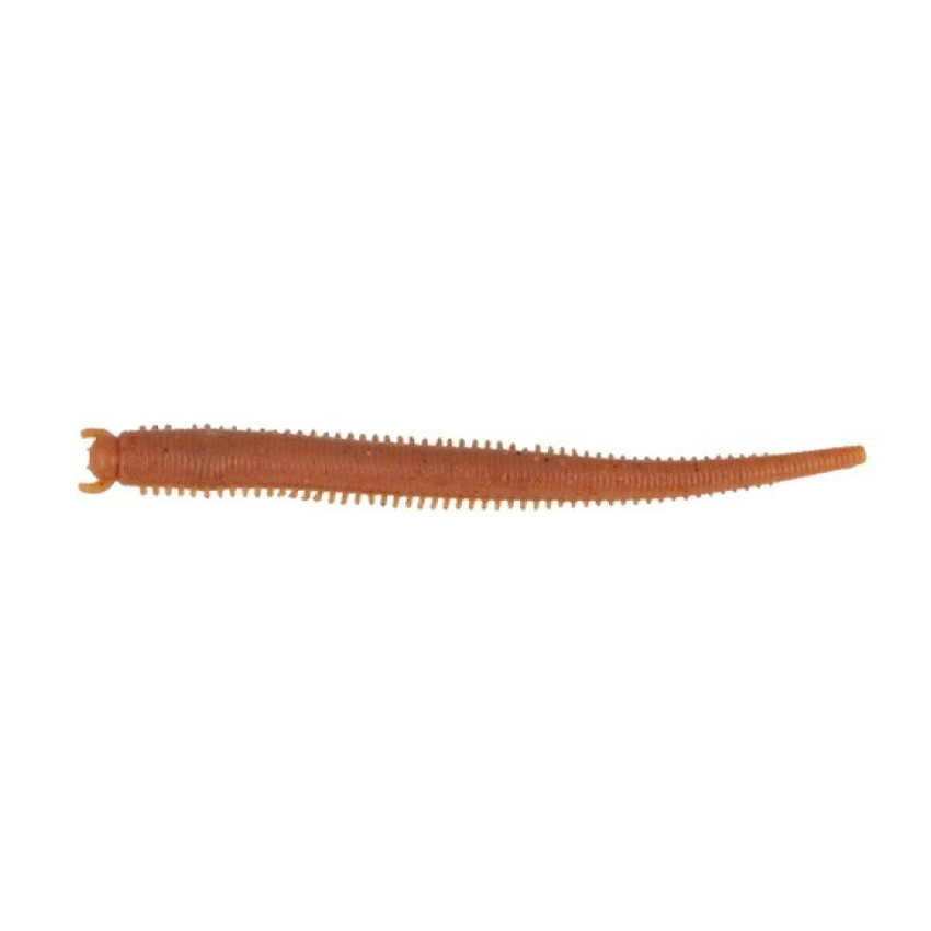 Saltwater Fat Sandworm
