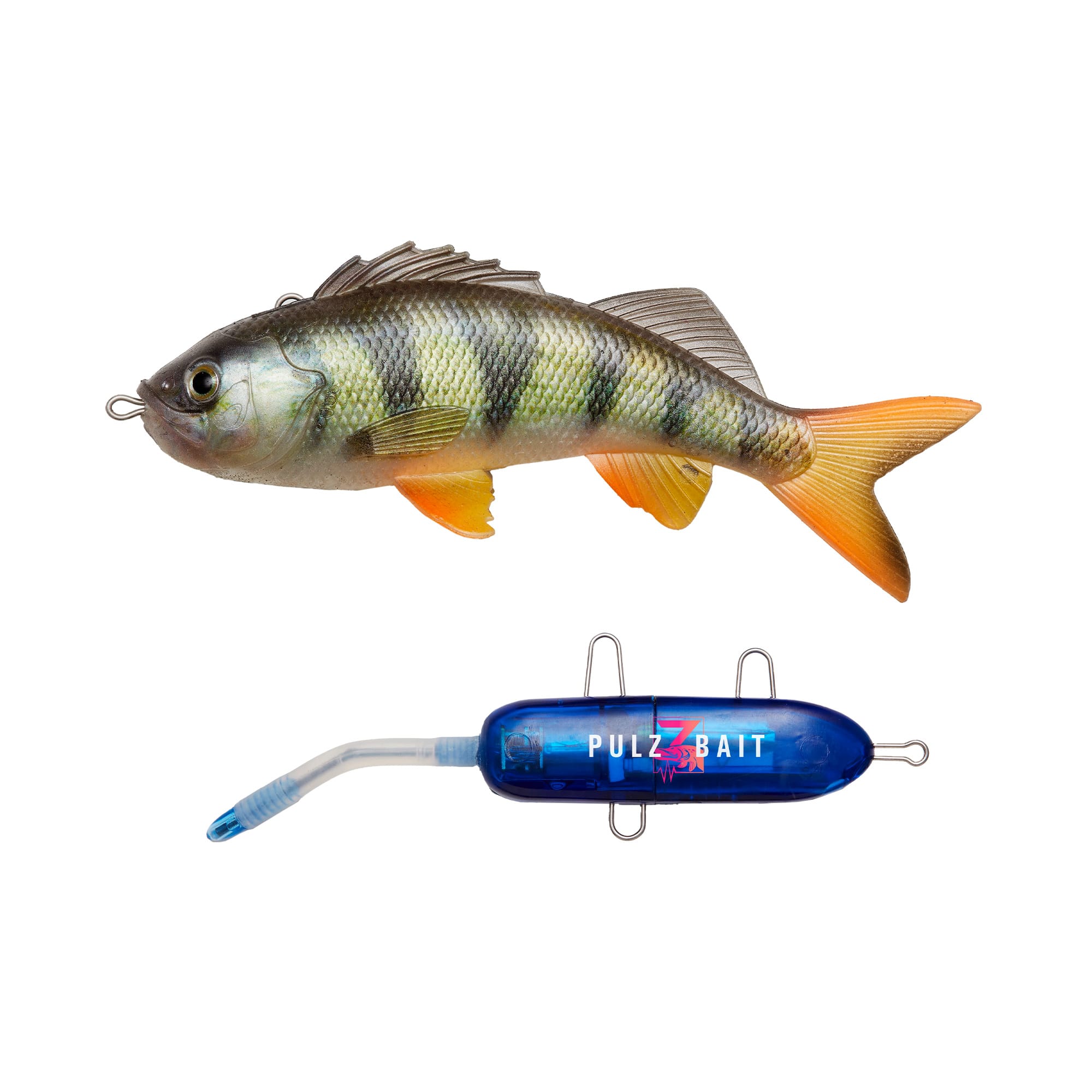 Starter Kit - Perch