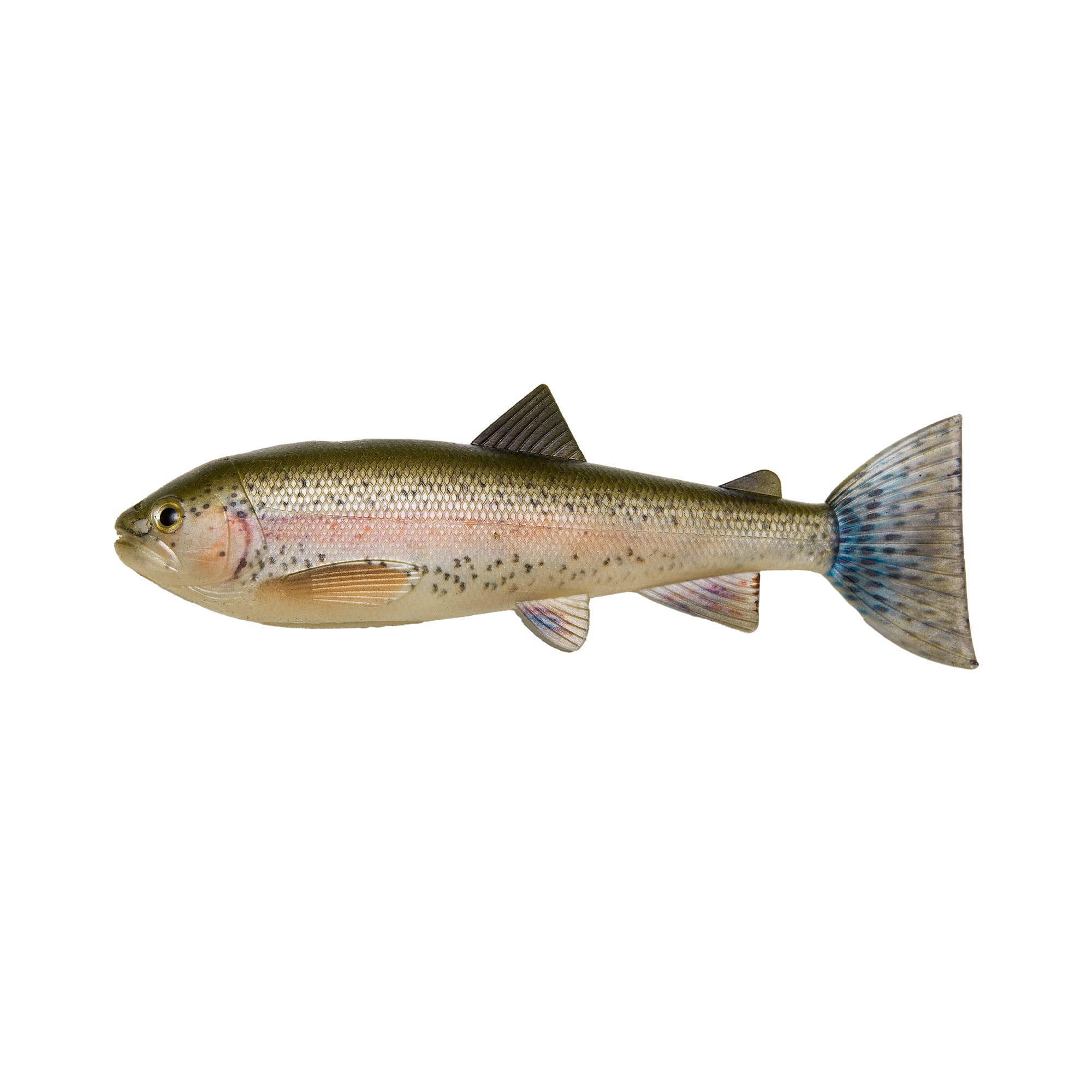 Skinz - Trout
