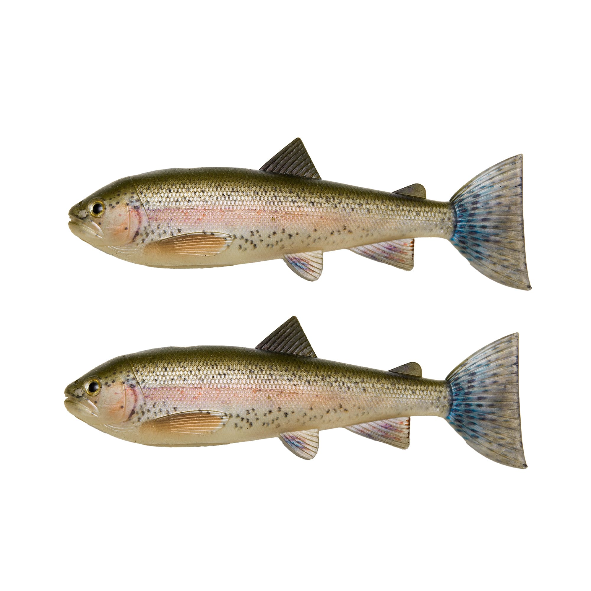 Skinz - Trout