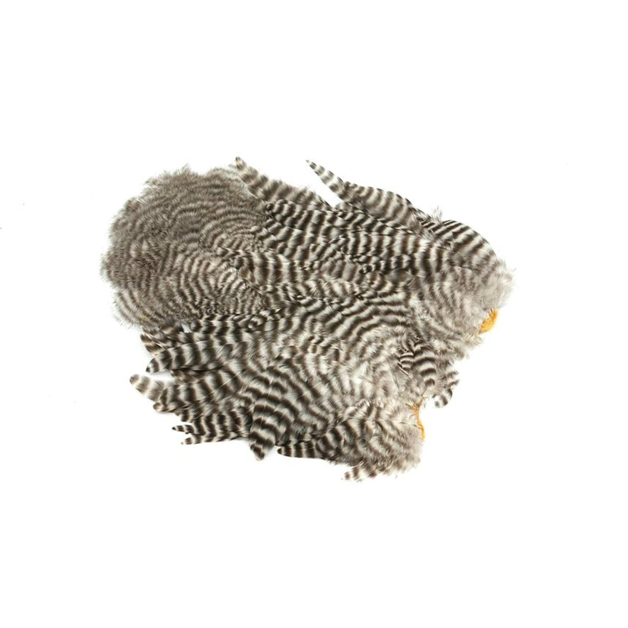 Rooster SH/C Soft Hackles With Chickabou