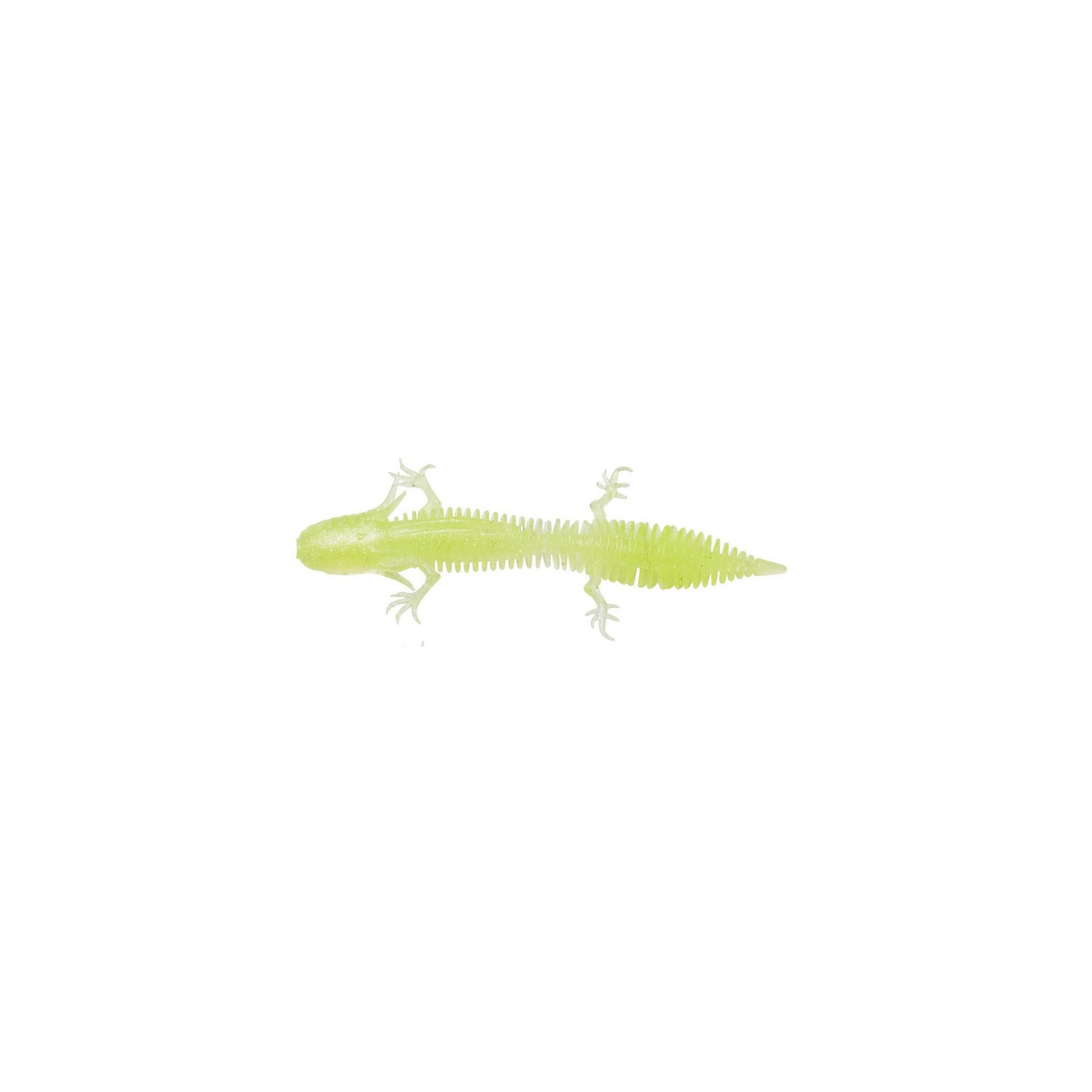 Ned Salamander