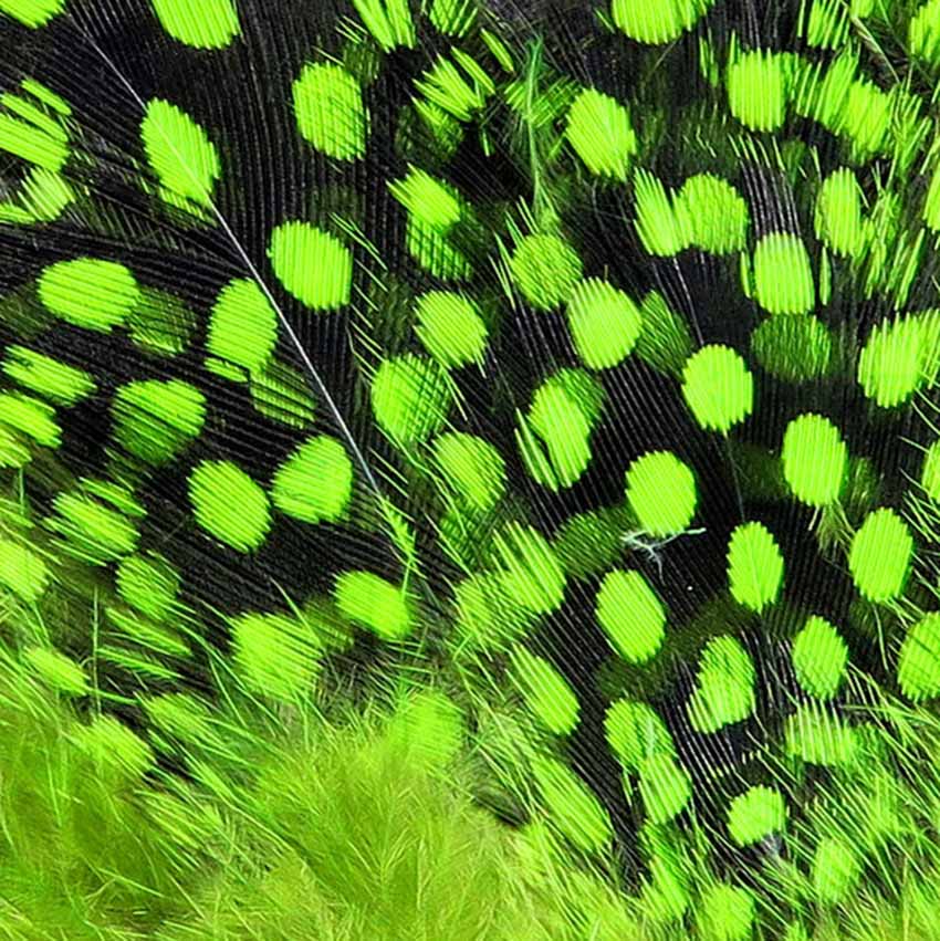 Strung Guinea Feathers - Perlehøne Hackler