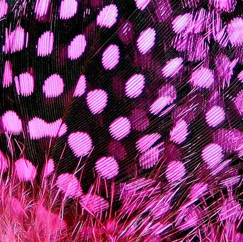 Strung Guinea Feathers - Perlehøne Hackler
