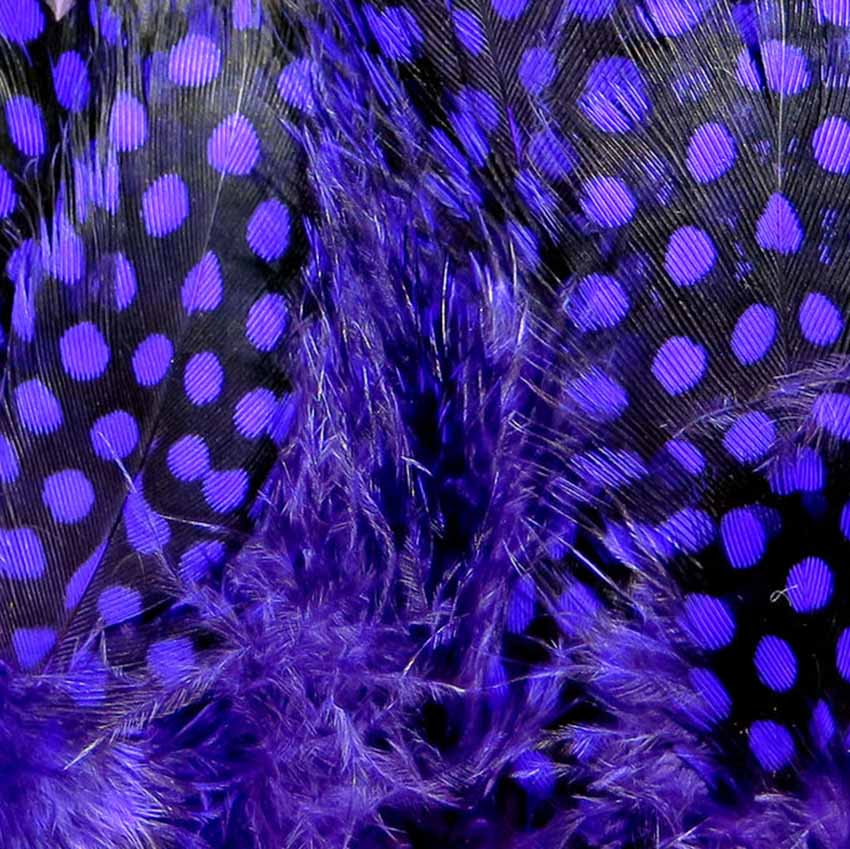 Strung Guinea Feathers - Perlehøne Hackler