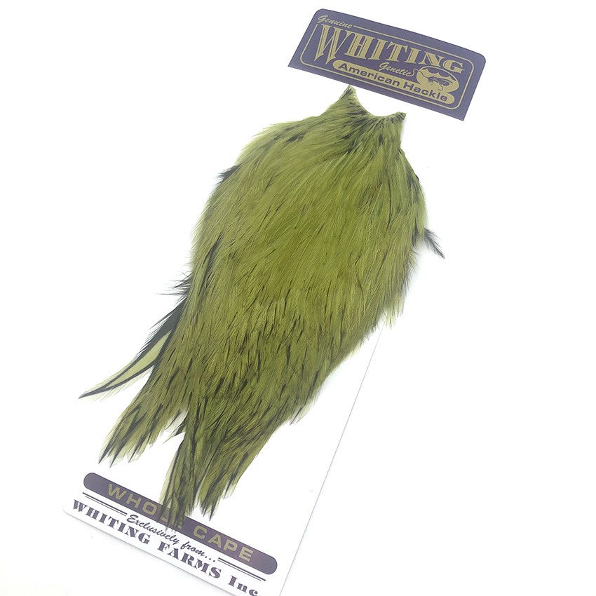 American Rooster Capes