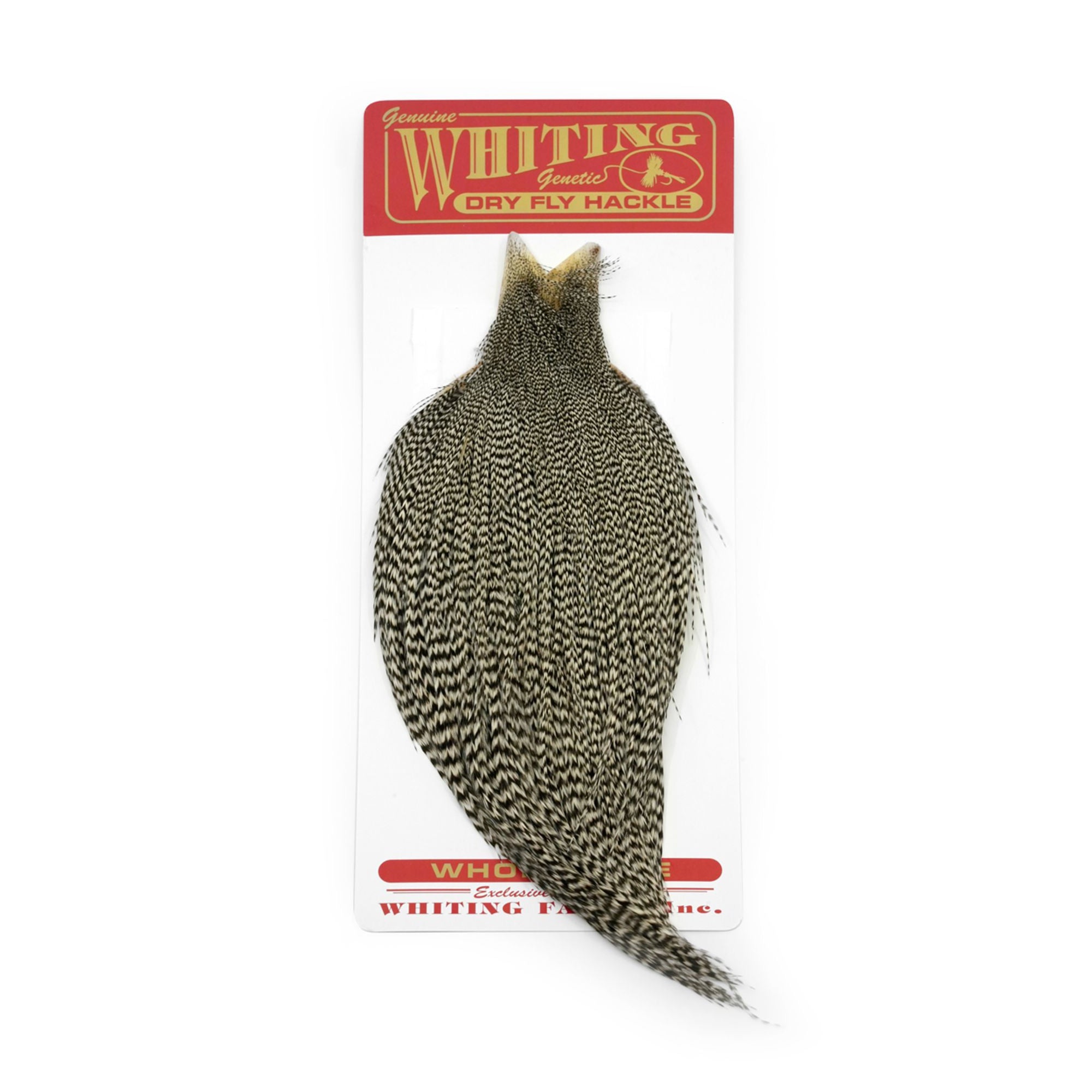 Whiting Commercial Cape - Flotte hanenakker