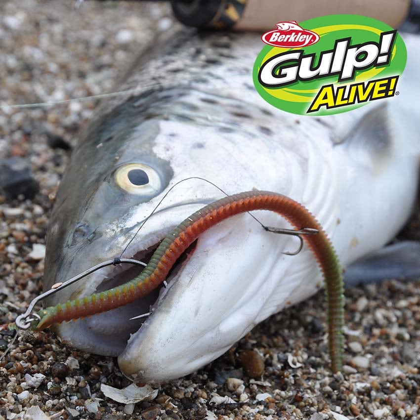 Gofi Gulp-rig Til Gulp Orme