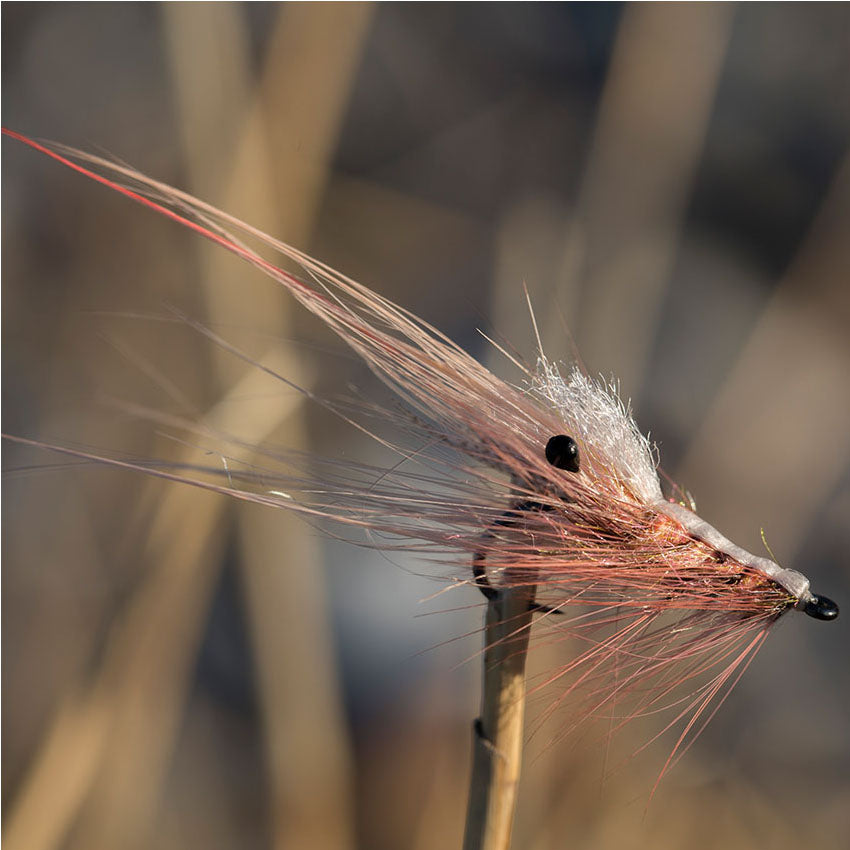 Coq De Leon Rooster Capes- Whiting Hane Nakker