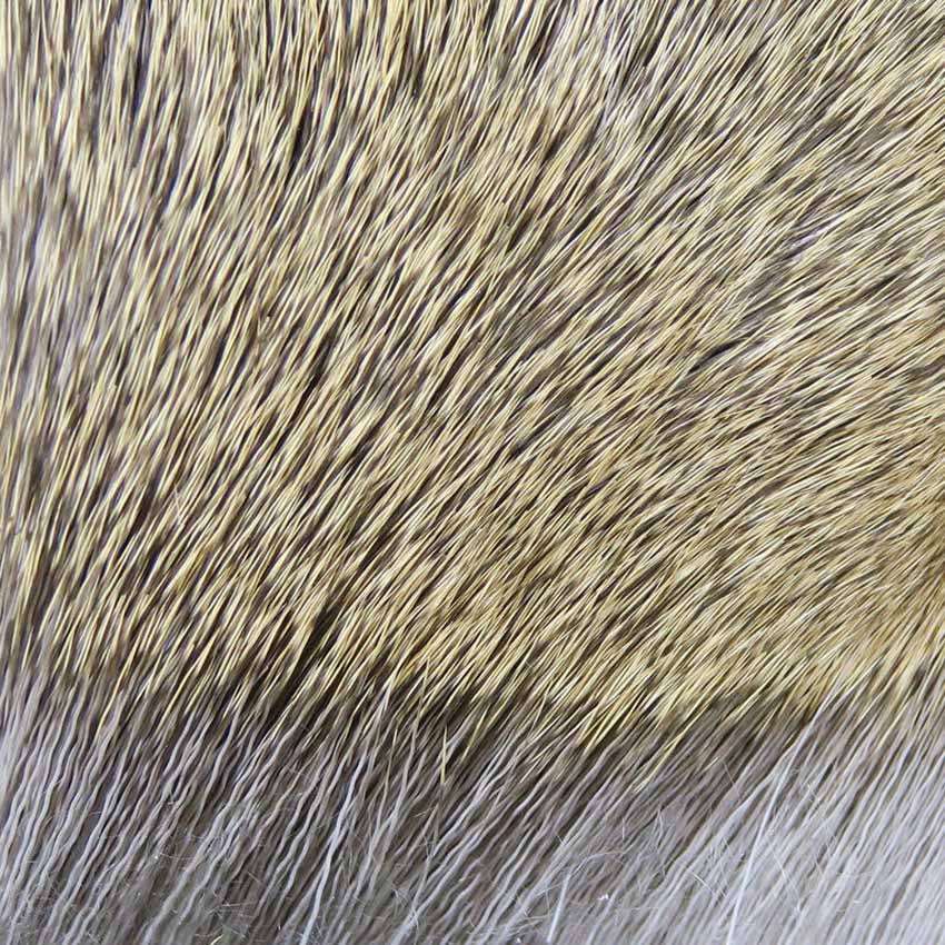 Deer Body Hair - Hjortehår