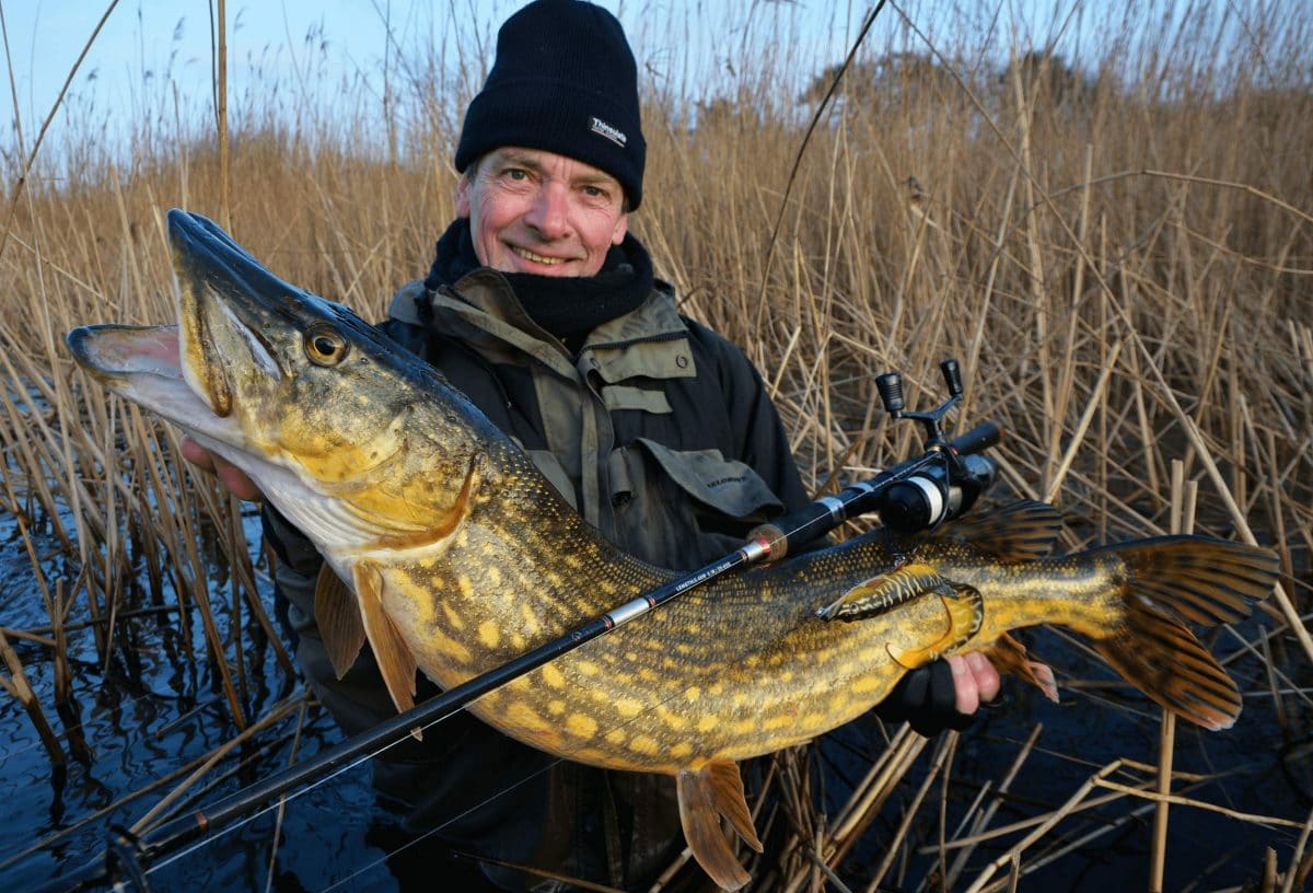 eilif-med-gedde 3d hybris pike savagear
