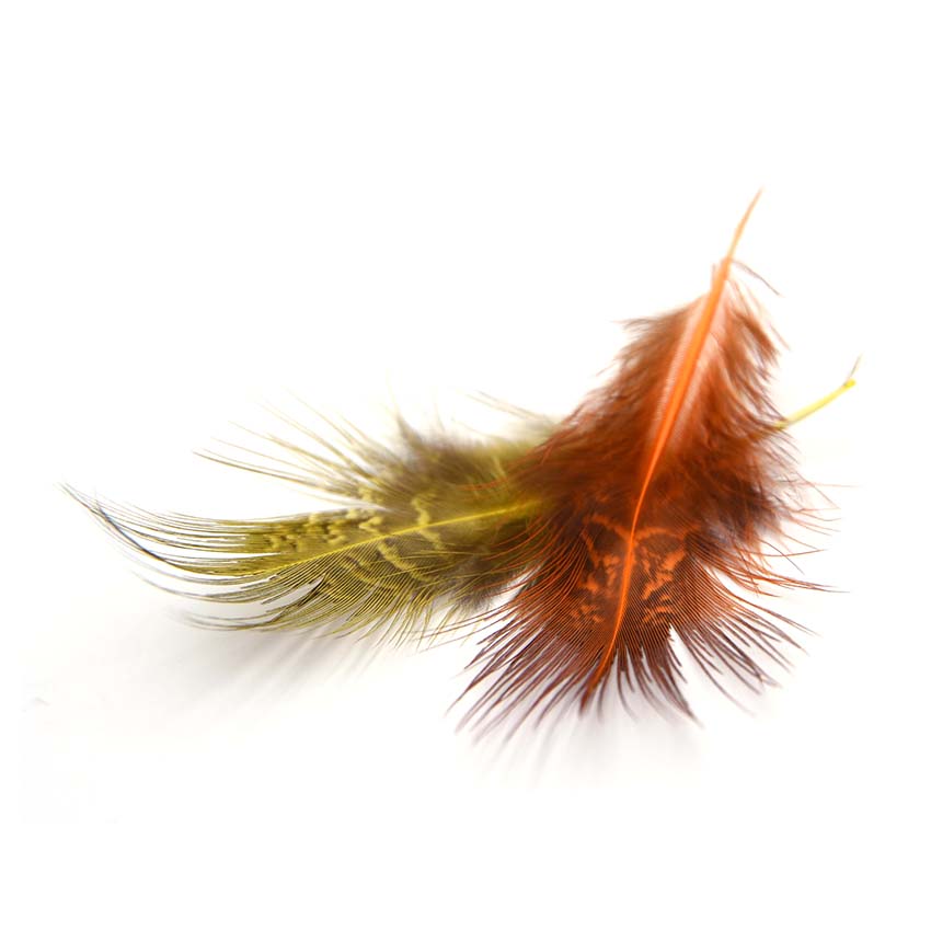 Fasan Ringneck Rump Hackle