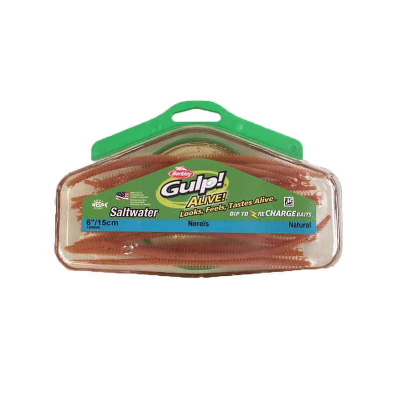 gulp_børsteorm_natur