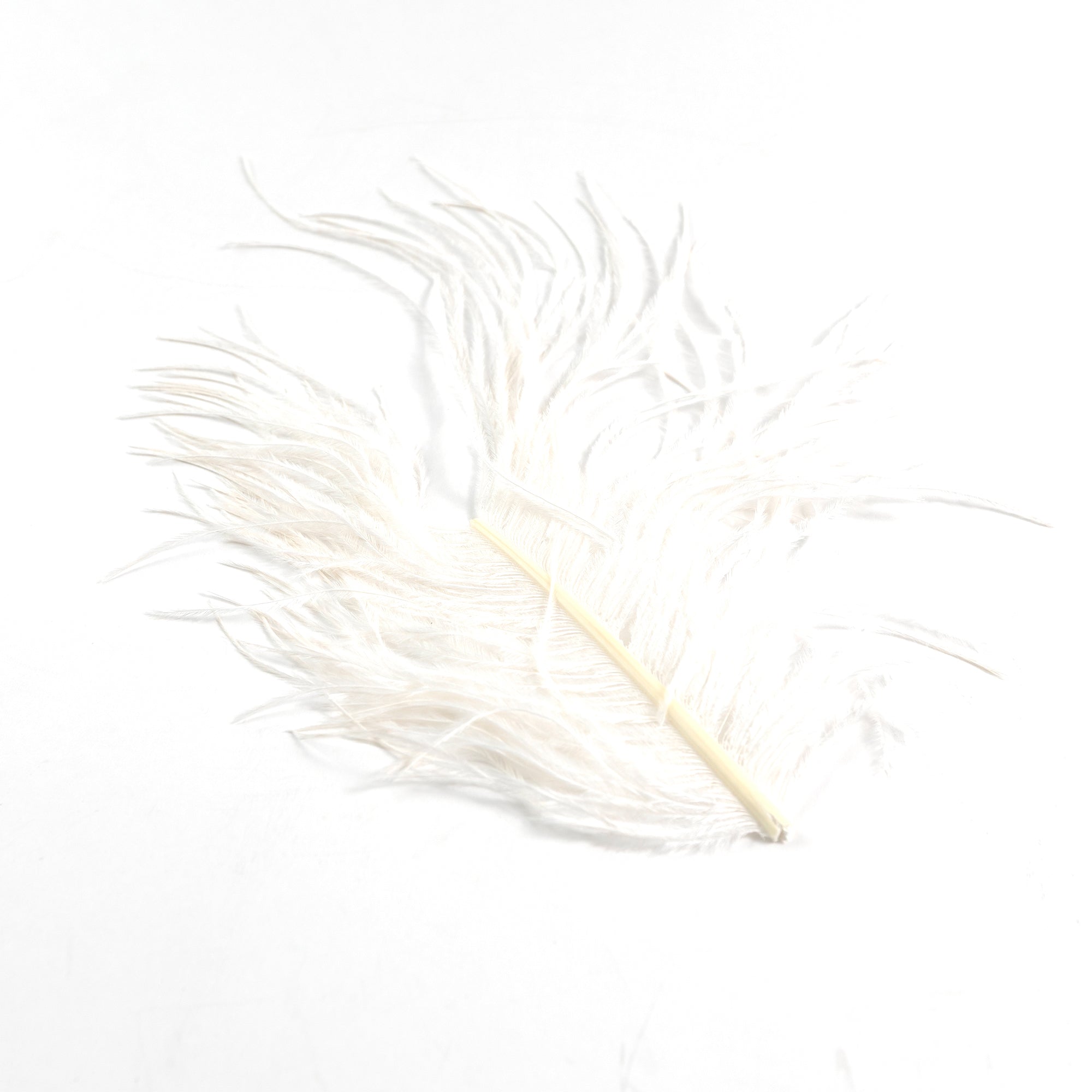 Ostrich Hearl