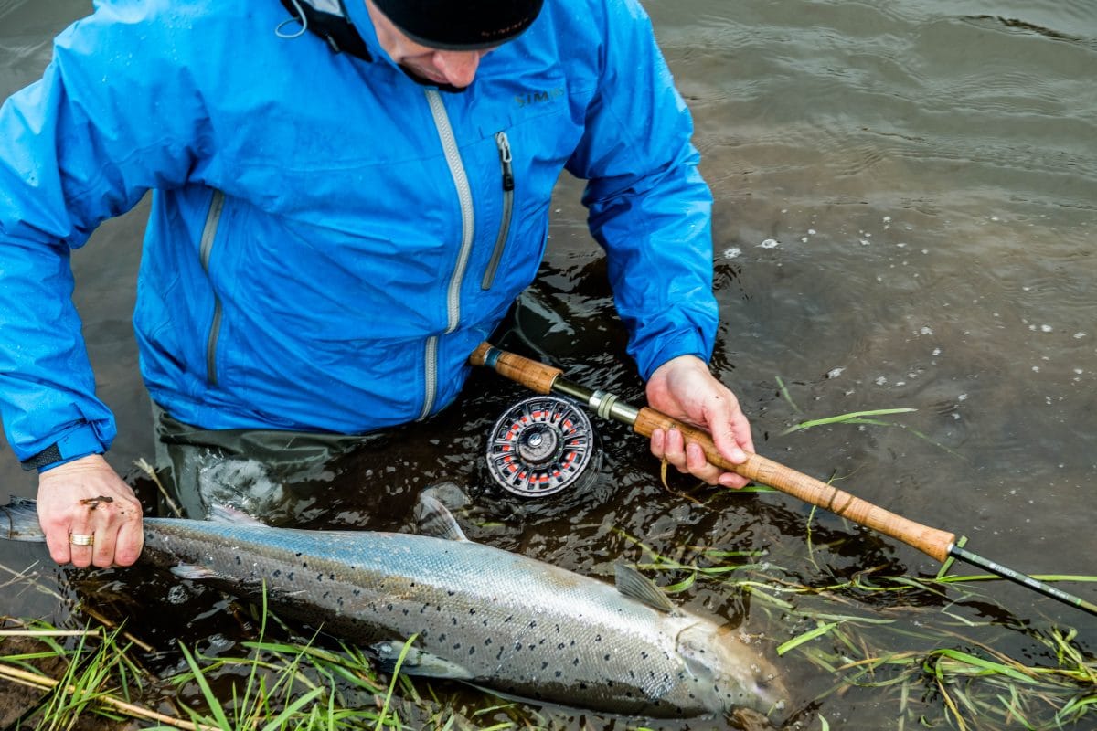 Skjern Å Laks til Niklas fra Go-Fishing
