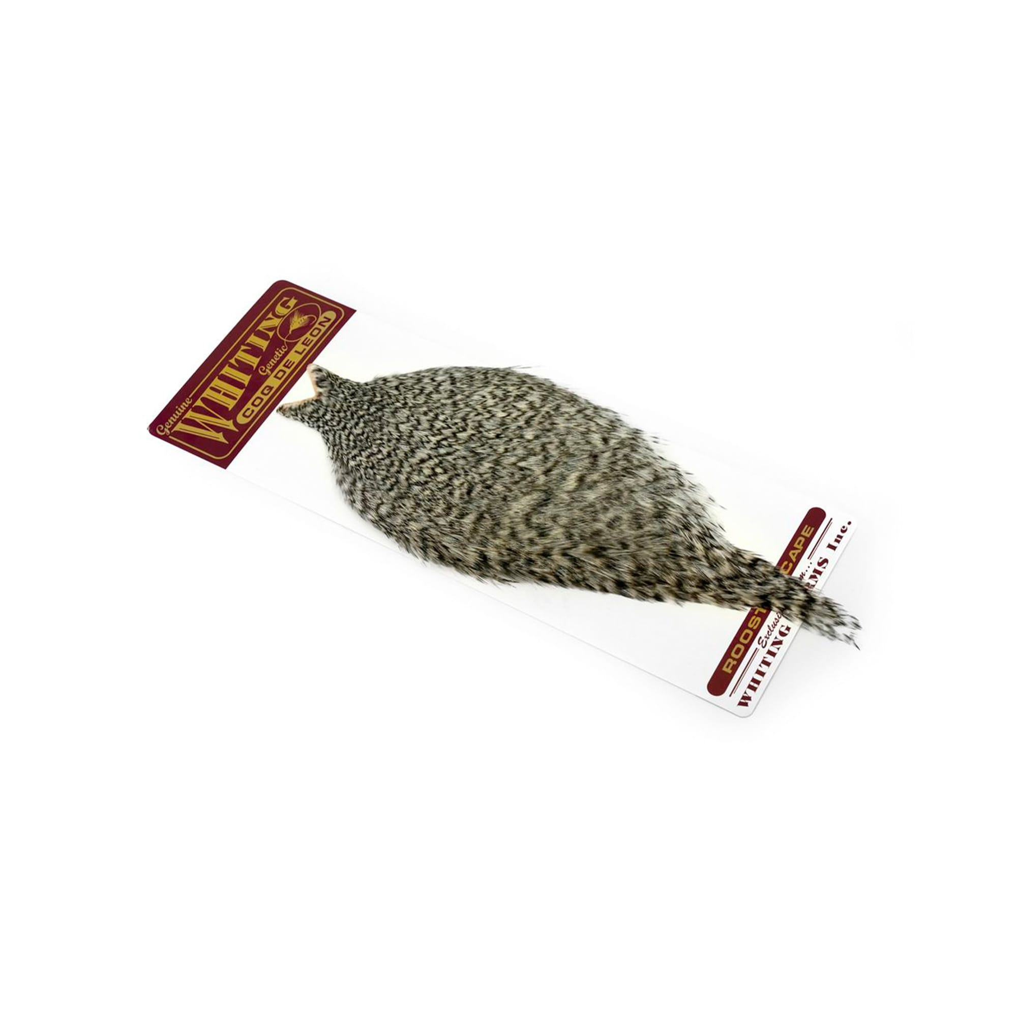 Coq De Leon Rooster Capes- Whiting Hane Nakker