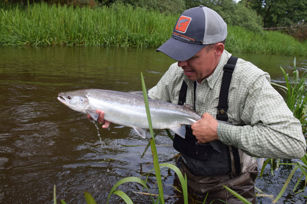 Salmon Krill Fluen