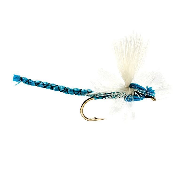 Damsel-Blue---Blå-Vandnymfe