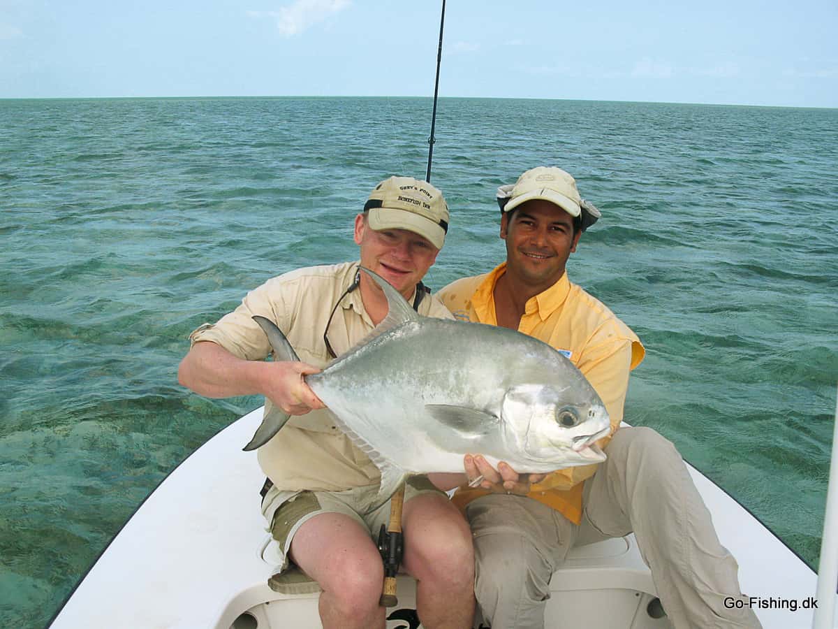 Keel (avalon) Shrimp Fly