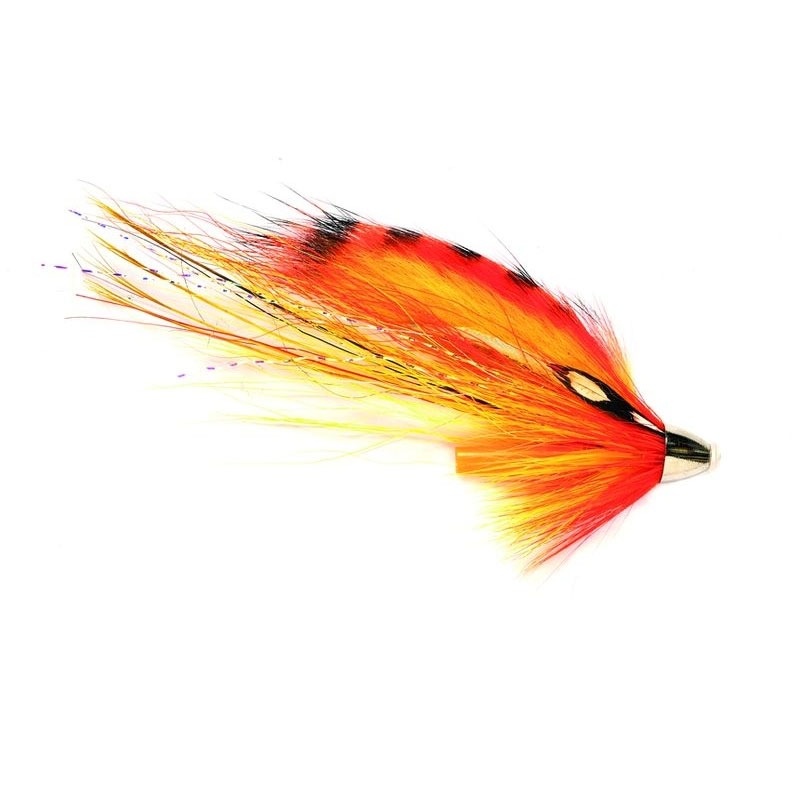 Skjern-Å-Tiger-flies