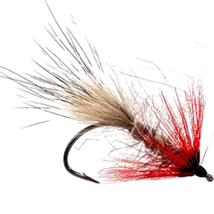 Fluer-4