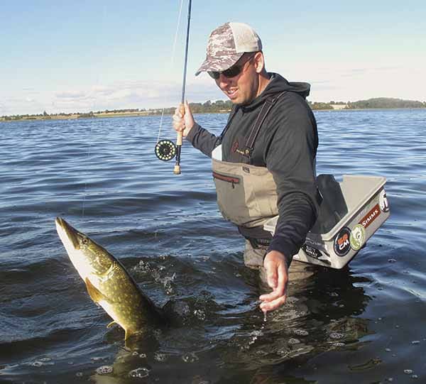Pike Wiggle Tail Flies