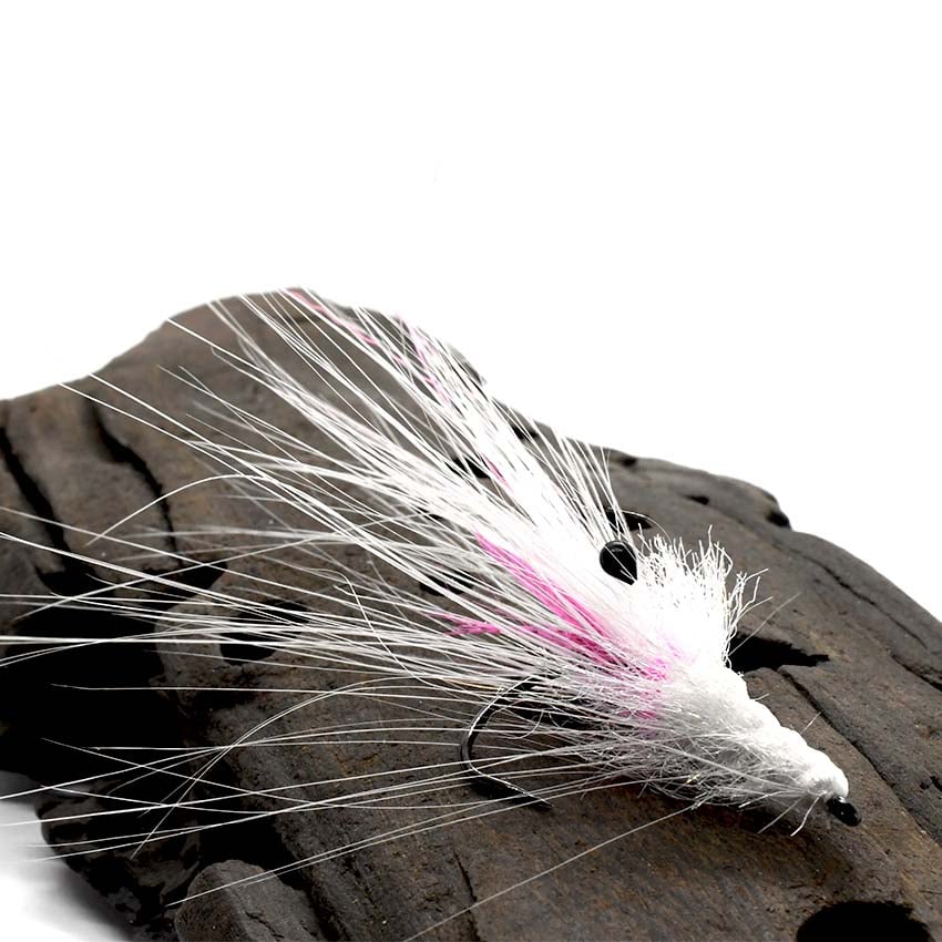 Albino Pattegrisen Limited Edition
