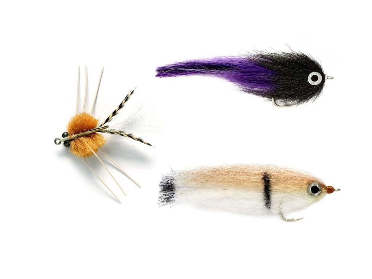 Tropiske fluer
