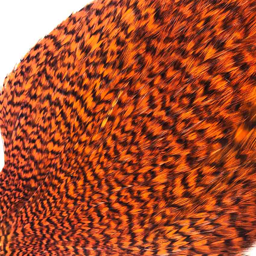 American Rooster Capes - Grizzly