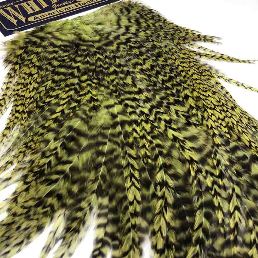 American Rooster Saddle