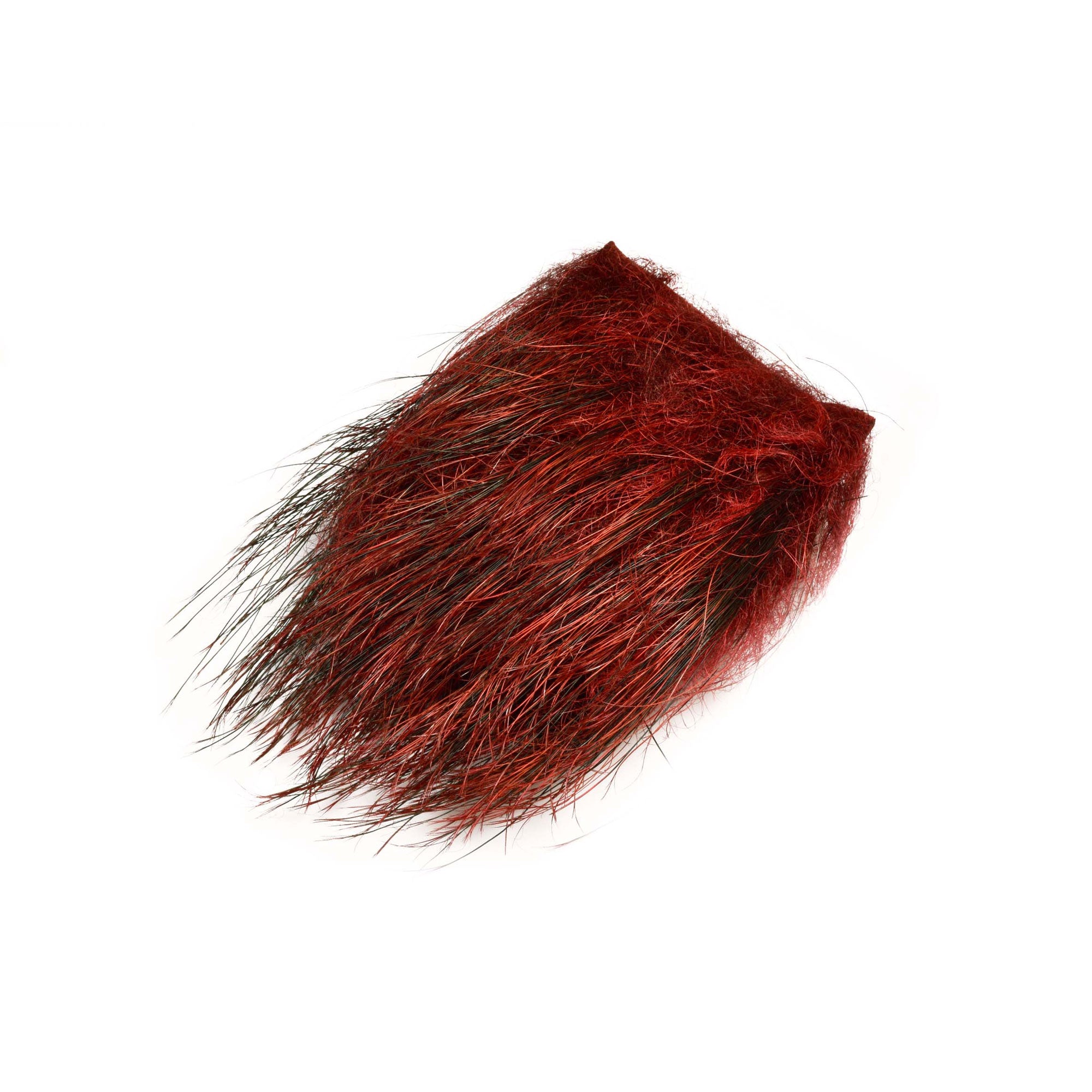 Wild Boar Feelers