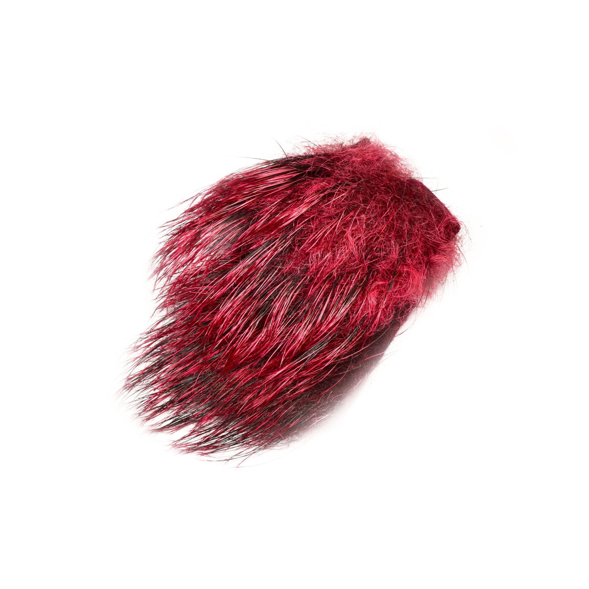 Wild Boar Feelers